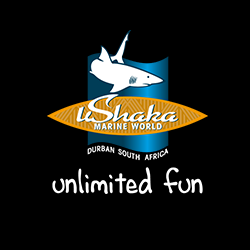 Water Park in Point, Kwazulu-Natal - UShaka Marine World