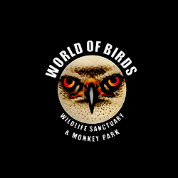 Zoo in Hout Bay, Western Cape - World Of Birds Wildlife Sanctuary & Monkey Park